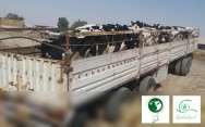 صادرات اولین محموله تلیسه از مجمتع کشت و صنعت اشراق به ترکمنستان