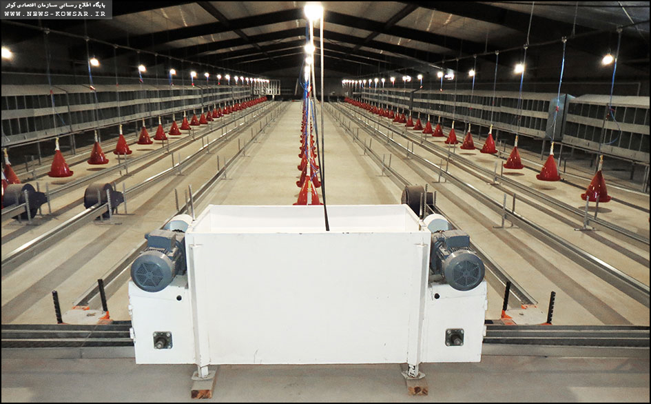 90 درصد پیشرفت فیزیکی بزرگترین پروژه فارم پرورش مرغ مادر تخمگذار کشور با ظرفیت 78 هزار قطعه در سلطانیه زنجان