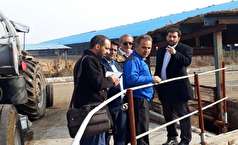بازدید مدیر و مشاوران پروژه احداث نیروگاه بیوگاز دامی از سایت شرکت کشت و صنعت شریف آباد