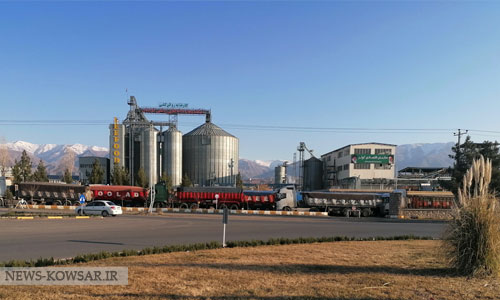 شرکت دانههای روغنی خراسان و ایجاد نخستین واحد استحصال روغن هسته انگور در کشور شرکت دانههای روغنی خراسان و ایجاد نخستین واحد استحصال روغن هسته انگور در کشور