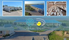 احیای مرغ آرین و ورود مجدد این سویه بومی در بازار به همت سازمان اقتصادی کوثر احیای مرغ آرین و ورود مجدد این سویه بومی در بازار به همت سازمان اقتصادی کوثر
