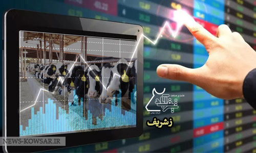 رشد ۸۰ درصدی قیمت سهام زشریف نسبت به سال مالی گذشته رشد ۸۰ درصدی قیمت سهام زشریف نسبت به سال مالی گذشته