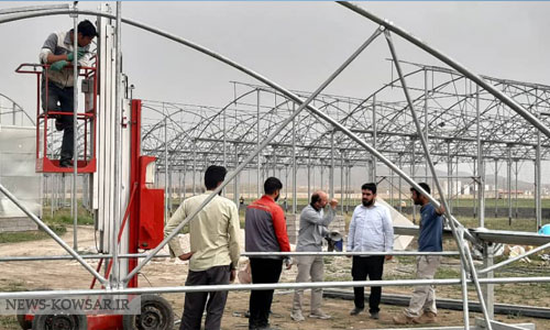 پیشرفت ۶۵ درصدی بزرگترین گلخانه هیدروپونیک غرب کشور در اسلام‌آبادغرب