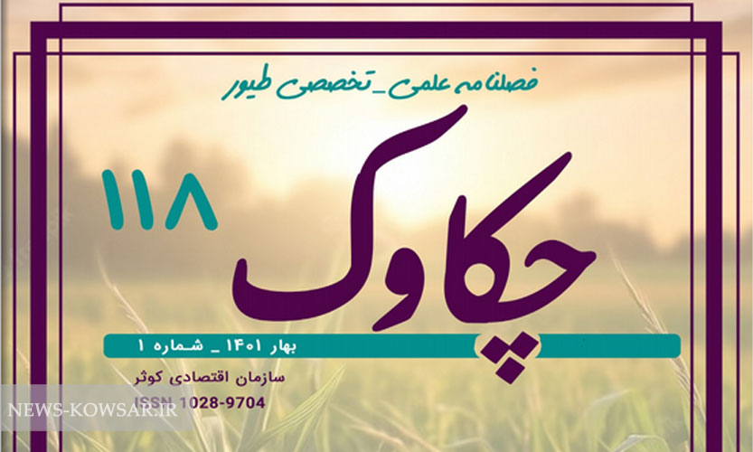 چکاوک منتشر شد چکاوک منتشر شد