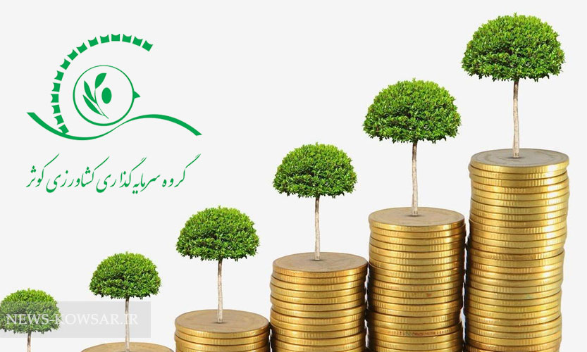 رشد ۹۰ درصدی سهام «زکوثر» رشد ۹۰ درصدی سهام «زکوثر»
