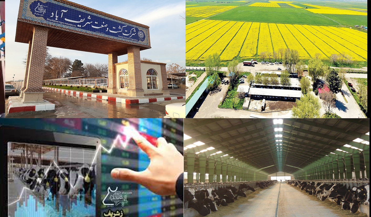 گزارشی از شرکت کشت و صنعت شریف آباد