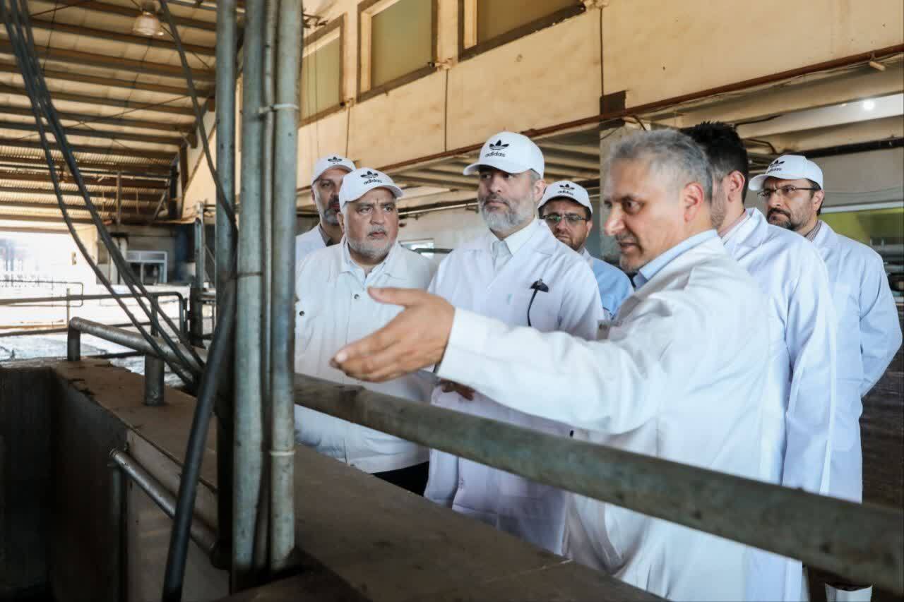بازدید میدانی دکتر فخاری از مزرعه شریف آباد بازدید میدانی دکتر فخاری از مزرعه شریف آباد