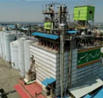 اثر مولدسازی بر کسب و کار خوراک دام پارس