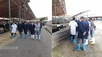 برگزاری نشست‌های بررسی دستاورد‌های گروه‌ها، بازدید میدانی و ملاقات چهره به چهره مدیرعامل سازمان با مدیران و کارکنان برخی شرکت‌های تابعه