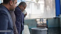 بازدید دکتر ناصر فخاری از مزارع دو شرکت تابعه سازمان در احمدآباد مستوفی