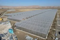 پیشرفت ۶۵ درصدی بزرگترین گلخانه هیدروپونیک غرب کشور در اسلام‌آبادغرب