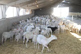 گزارش تصویری آئین افتتاح دو پروژه مهم کشاورزی سازمان اقتصادی کوثر در شهرستان ورامین 1397/02/25