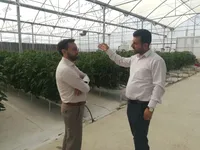 بازدید مدیران ارشد سازمان از پروژه های در دست اقدام استان کرمانشاه