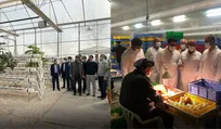 بازدید میدانی مدیرعامل سازمان از شرکت‌های مرغک و توسعه مکانیزاسیون کوثر