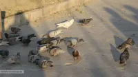 گزارش تصویری | تشرف کارکنان سازمان به کهف الشهدا