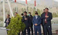 درختکاری در کوهسار تهران