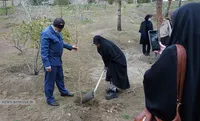 درختکاری در کوهسار تهران