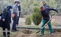 درختکاری در کوهسار تهران