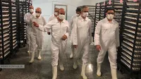 بازدید میدانی مدیرعامل سازمان از شرکت‌های مرغک و توسعه مکانیزاسیون کوثر