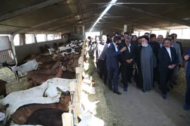 گزارش تصویری آئین افتتاح دو پروژه مهم کشاورزی سازمان اقتصادی کوثر در شهرستان ورامین 1397/02/25