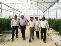 بازدید مدیران ارشد سازمان از پروژه های در دست اقدام استان کرمانشاه