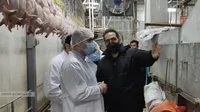 بازدید مدیرعامل سازمان از کارخانه شیمی دارو، سایت پشرت و کشتارگاه دُربال