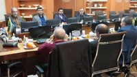 واردات دام سبک و سنگین از ارمنستان