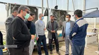 بازدید میدانی مدیرعامل سازمان از شرکت‌های مرغک و توسعه مکانیزاسیون کوثر