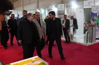 بازدید دکتر فخاری از نمایشگاه دام و طیور
