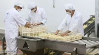 گزارش تصویری | عرضه نخستین محموله جوجه یک روزه آمیخته تجاری لاین داخلی مرغ آرین در بازار