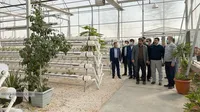 بازدید میدانی مدیرعامل سازمان از شرکت‌های مرغک و توسعه مکانیزاسیون کوثر