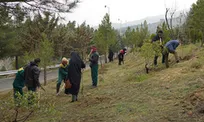 کاشت نهال در کوهسار تهران به نیابت از شهدای سازمان
