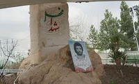 درختکاری در کوهسار تهران