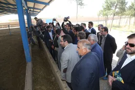 گزارش تصویری افتتاحیه دو پروژه مهم کشاورزی