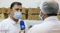 گزارش تصویری | عرضه نخستین محموله جوجه یک روزه آمیخته تجاری لاین داخلی مرغ آرین در بازار