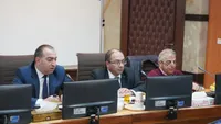 واردات دام سبک و سنگین از ارمنستان