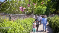 برنامه های فرهنگی و رفاهی خانواده های روابط عمومی 
