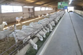 گزارش تصویری آئین افتتاح دو پروژه مهم کشاورزی سازمان اقتصادی کوثر در شهرستان ورامین 1397/02/25