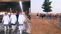 برگزاری نشست‌های بررسی دستاورد‌های گروه‌ها، بازدید میدانی و ملاقات چهره به چهره مدیرعامل سازمان با مدیران و کارکنان برخی شرکت‌های تابعه