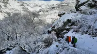 گزارش تصویری| صعود تیم کوهنوردی سازمان به قله پلگنچال
