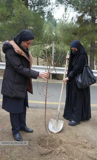 درختکاری در کوهسار تهران