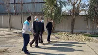 شرکت خوراک دام پارس