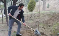 درختکاری در کوهسار تهران