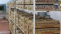 گزارش تصویری | عرضه نخستین محموله جوجه یک روزه آمیخته تجاری لاین داخلی مرغ آرین در بازار