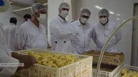بازدید مدیرعامل سازمان از برخی شرکت‌های تابعه واقع در استان خراسان رضوی